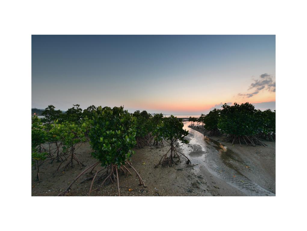 Oceanview Yui Hotel Ishigaki  Exterior foto